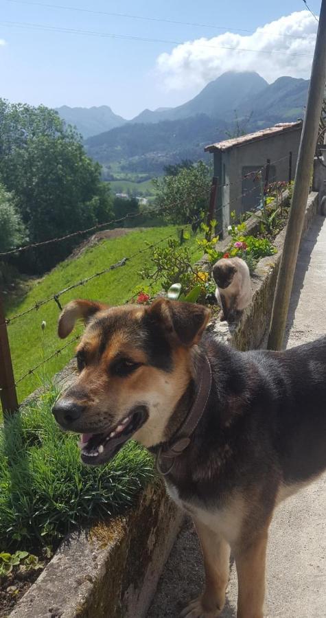 Casa Tali Сasa de vacaciones *